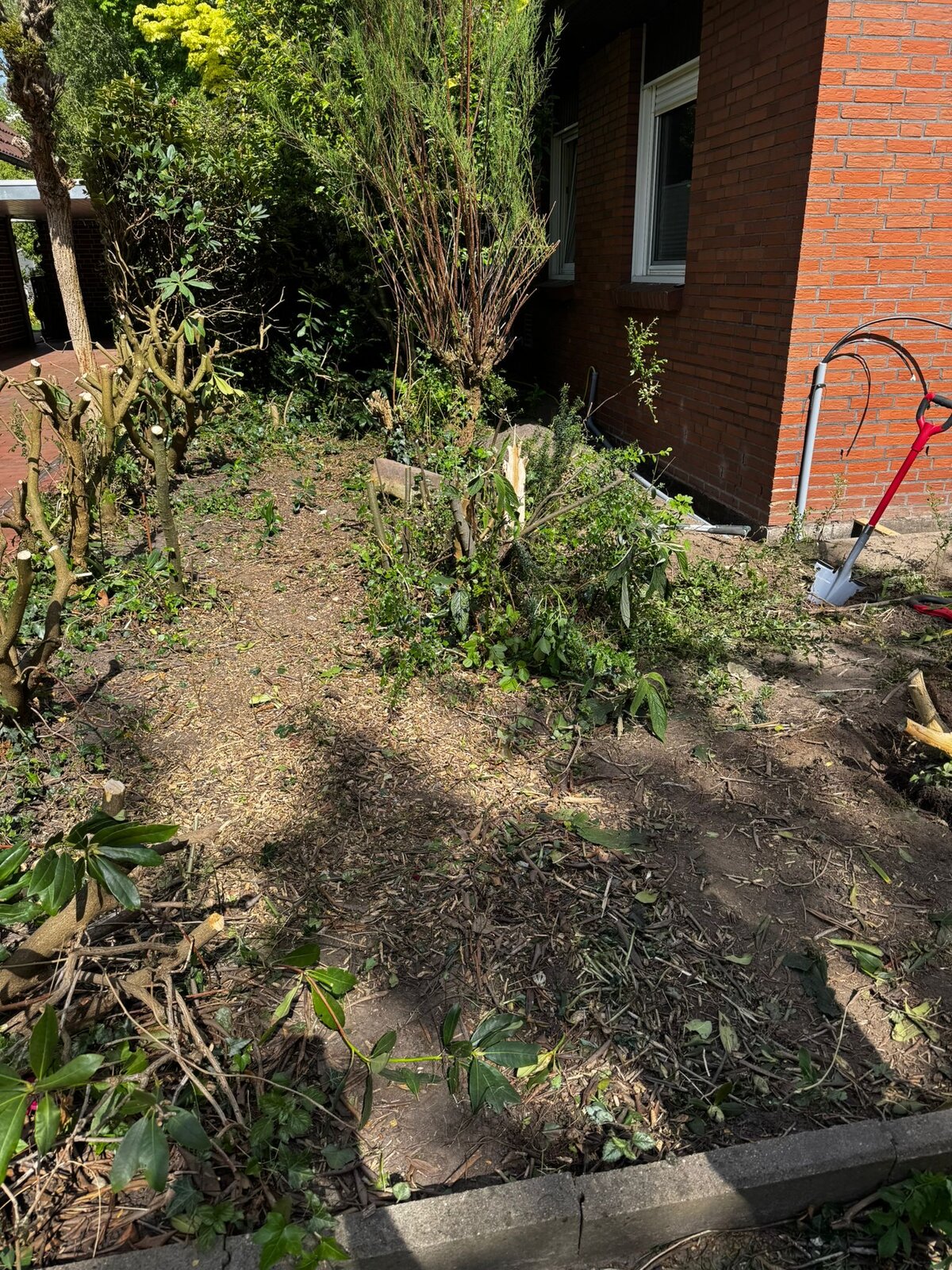 Verwilderte Fläche vor den Pflasterarbeiten Lemwerder – vorher
