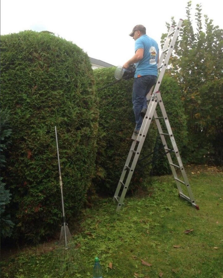 Heckenschnitt einer hohen Hecke mit Leiter – Gartenpflege Dayeeh Service