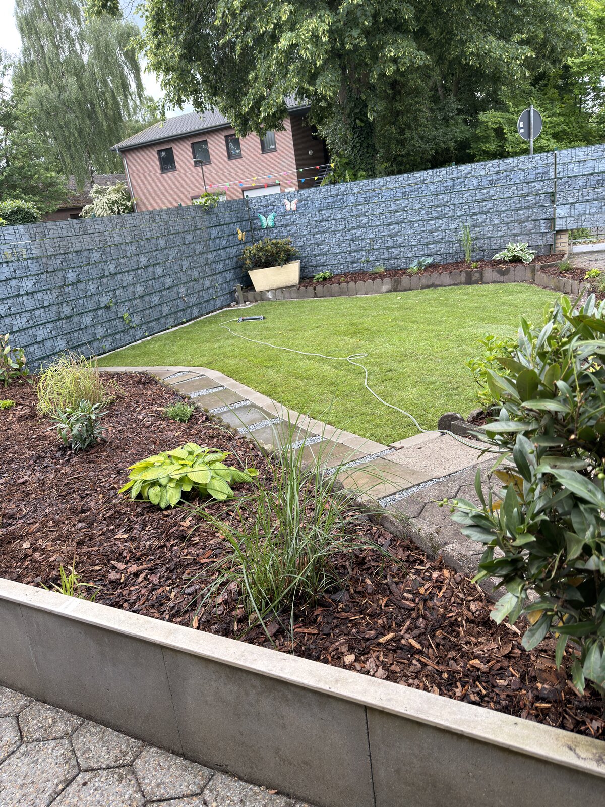 Garten mit Rollrasen, Mulchbeeten und Gabionenwand in Ganderkesee