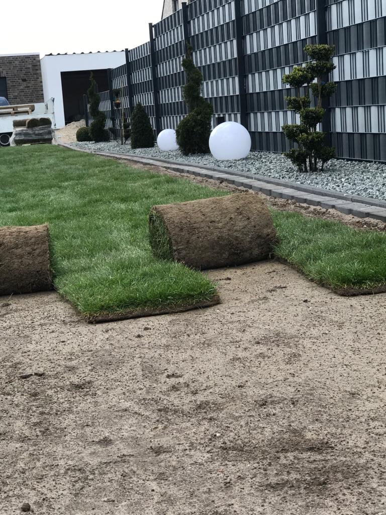 Rollrasen verlegen in Harpstedt – frische Rasenrollen auf vorbereitetem Boden