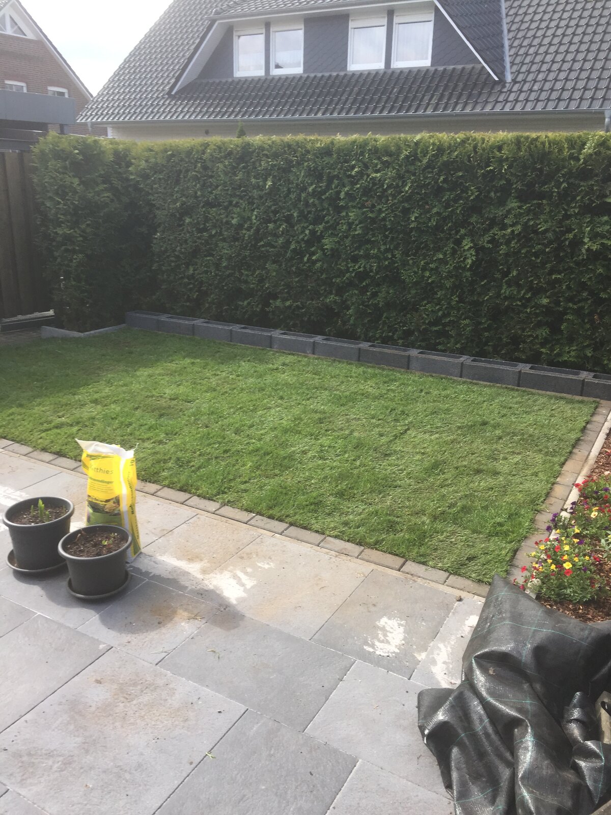 Neuer Rasen an Terrasse mit Plattenbelag